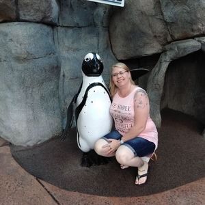 Meet your Posher, Jamie